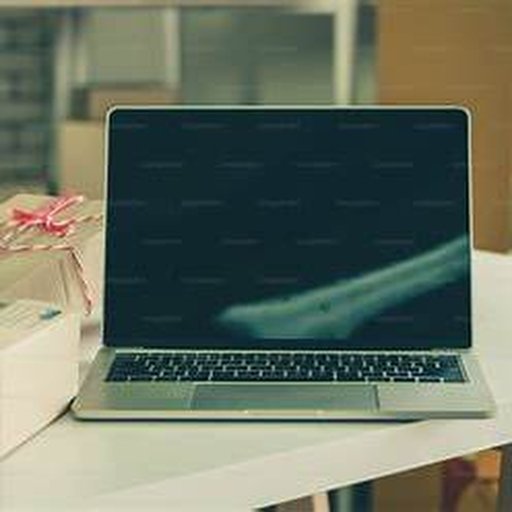 E-commerce Email Support Jobs for Beginners remote shopping support workspace